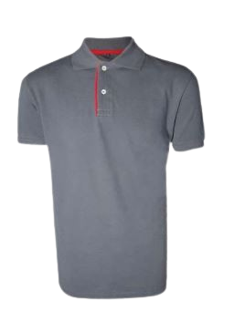Polo 2